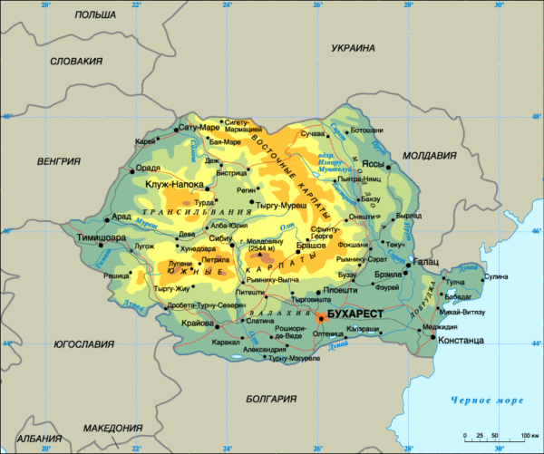 Картинка